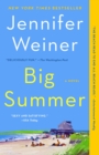 Image for Big Summer: A Novel
