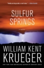 Image for Sulfur Springs : A Novel