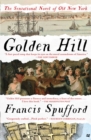 Image for Golden Hill: a novel of old New York