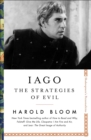 Image for Iago  : the strategies of evil