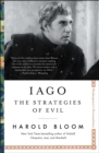 Image for Iago : The Strategies of Evil