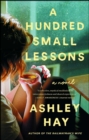 Image for A hundred small lessons: a novel