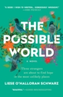 Image for The Possible World : A Novel
