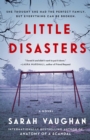 Image for Little Disasters : A Novel