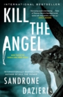 Image for Kill the angel: a novel