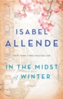 Image for In the midst of winter: a novel