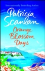 Image for Orange Blossom Days : A Novel