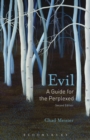 Image for Evil  : a guide for the perplexed