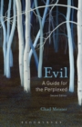 Image for Evil: a guide for the perplexed