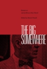 Image for The big somewhere  : essays on James Ellroy&#39;s noir world