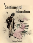 Image for Sentimental Education