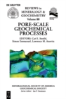 Image for Pore-scale geochemical processes