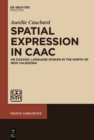 Image for Spatial Expression in Caac: An Oceanic Language Spoken in the North of New Caledonia : 650