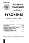 Image for Pyroxenes