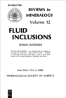 Image for Fluid inclusions