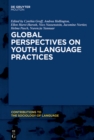 Image for Global Perspectives on Youth Language Practices