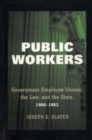 Image for Public Workers: Government Employee Unions, the Law, and the State, 1900-1962