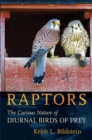 Image for Raptors: the curious nature of diurnal birds of prey
