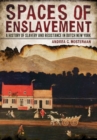 Image for Spaces of Enslavement