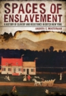 Image for Spaces of Enslavement: A History of Slavery and Resistance in Dutch New York