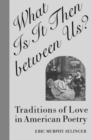 Image for What Is It Then between Us?: Traditions of Love in American Poetry