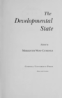 Image for The Developmental State