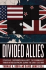 Image for Divided Allies