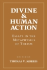 Image for Divine and Human Action: Essays in the Metaphysics of Theism.