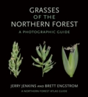 Image for Grasses of the Northern Forest  : a photographic guide