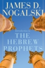 Image for Introduction to the Hebrew Prophets