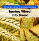 Image for Turning Wheat into Bread