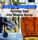 Image for Turning Sap into Maple Syrup
