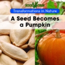 Image for Seed Becomes Pumpkin