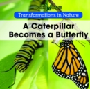 Image for Caterpillar Becomes Butterfly