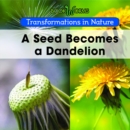 Image for Seed Becomes Dandelion
