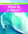 Image for What Is a Wave?
