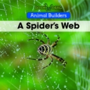 Image for A spider&#39;s web