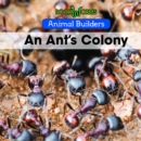 Image for An ant&#39;s colony