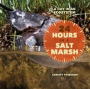 Image for 24 hours in a salt marsh