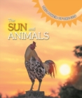 Image for The sun and animals