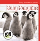 Image for Baby penguins