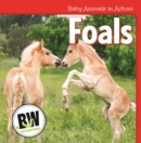 Image for Foals