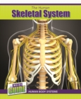 Image for The Human Skeletal System