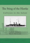Image for The Sting of the Hawke : Collision in the Solent