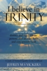Image for I believe in Trinity