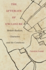 Image for The afterlife of enclosure  : British realism, character, and the commons