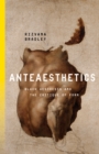 Image for Anteaesthetics  : Black aesthesis and the critique of form