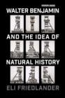 Image for Walter Benjamin and the Idea of Natural History