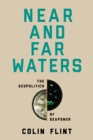 Image for Near and Far Waters : The Geopolitics of Seapower