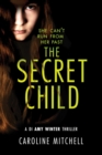 Image for The secret child